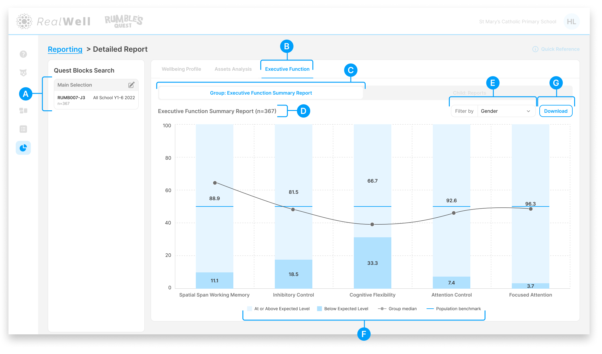 RQ Guides_ Reporting_ Executive Function Summary Report.png