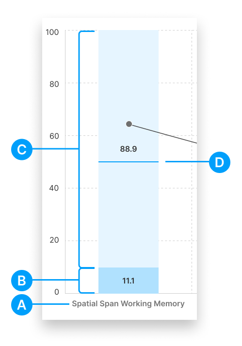 RQ Guides_ Reporting_ Executive Function Summary Report_ Hero.png