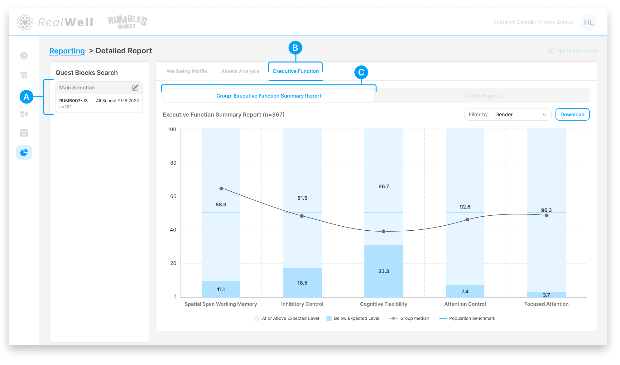 RQ Guides_ Reporting_ Executive Function Reporting.png