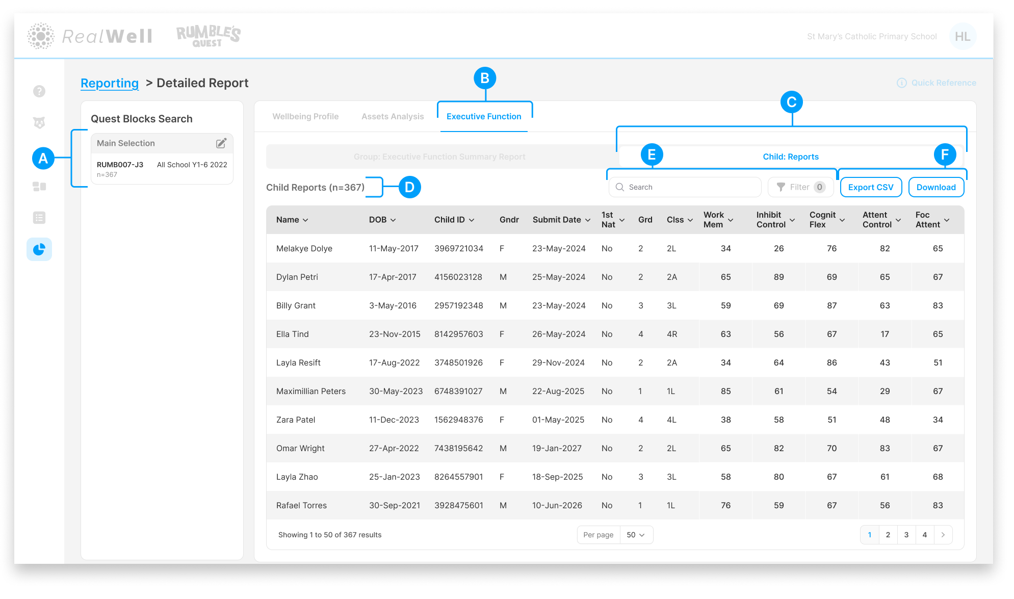 RQ Guides_ Reporting_ Executive Function Child Reports.png