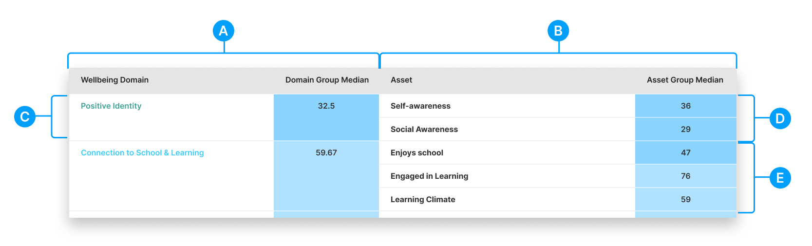 RQ Guides_ Reporting_ Assets Overview_ Hero.png